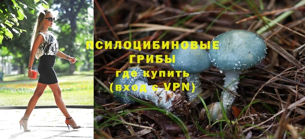 таблы Алзамай