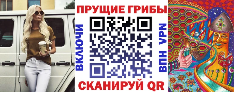 Галлюциногенные грибы Cubensis  Нальчик 