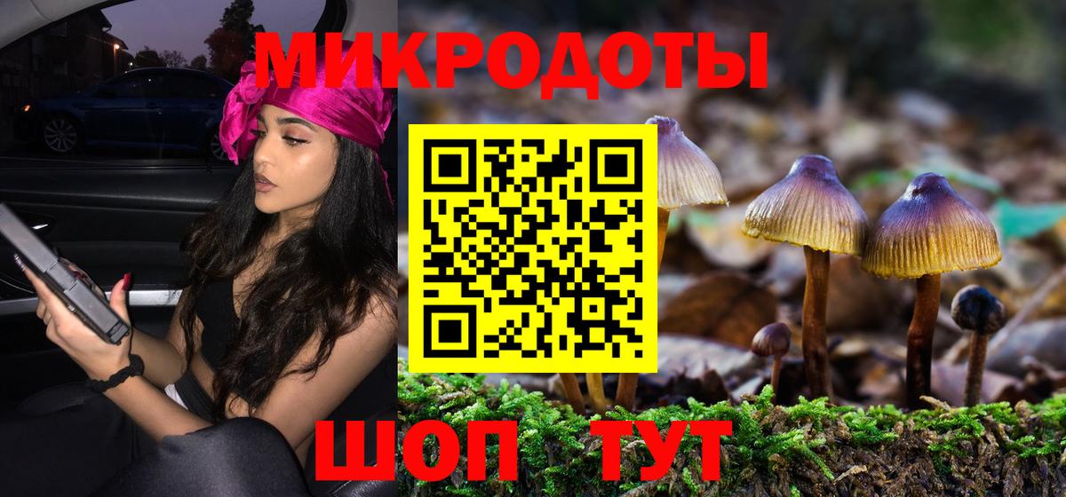 Галлюциногенные грибы MAGIC MUSHROOMS  Вход с VPN  Псилоцибиновые грибы мухоморы  Нальчик 